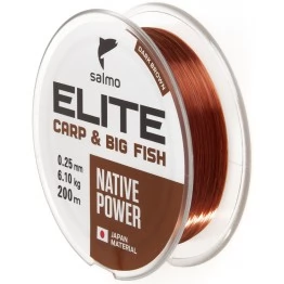 Леска монофильная Salmo Elite Carp & Big Fish 200 м