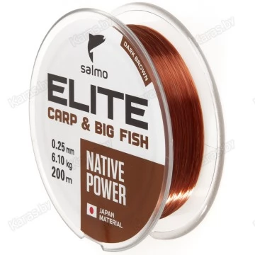 Леска монофильная Salmo Elite Carp & Big Fish 200 м