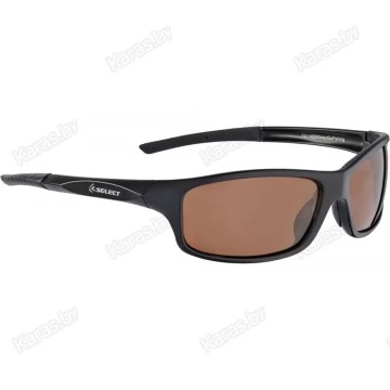 Очки поляризационные Select FS1-MBB (в твердом чехле)