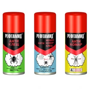 Туризм, кемпинг