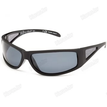 Очки поляризационные Solano FL20039 B1