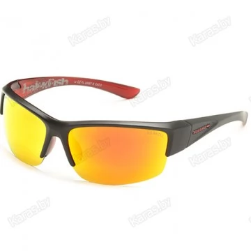 Очки поляризационные Solano FL20057 E