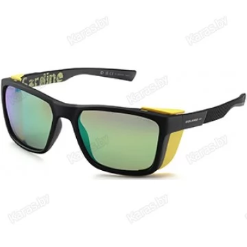 Очки поляризационные Solano FL20070 E