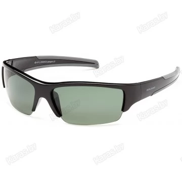 Очки поляризационные Solano FL20009 B