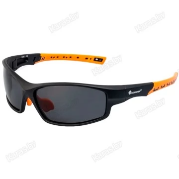 Очки поляризационные Tagrider N25-2 Gray в чехле