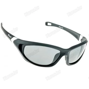 Очки поляризационные Tagrider N27-2 Gray в чехле