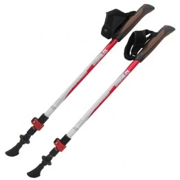 Треккинговые палки Tramp Compact
