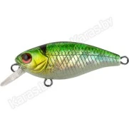 Воблер TsuYoki Chafer 40F (3.6 гр)