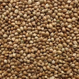 Компонент для прикормки Vabik Big Pack Зерно конопли 750 г