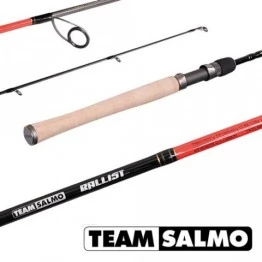Спиннинг Team Salmo BALLIST 5.90/ML-TSBA1-591F,штеккерный, 5.9/1.80 м, тест: 3-12 г , 98 г