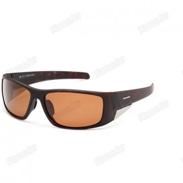 Очки поляризационные Solano FL20020D