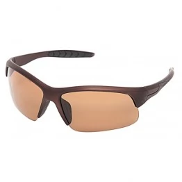 Очки поляризационные SALMO S-2522