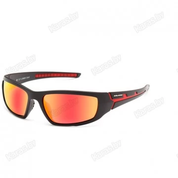 Очки поляризационные Solano FL20026C