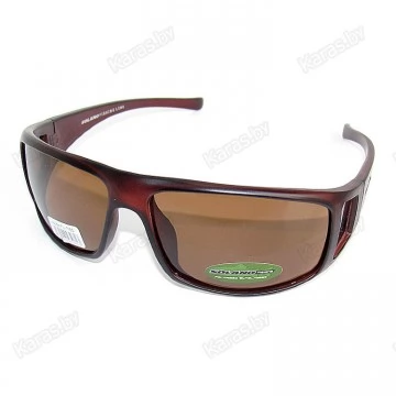 Очки поляризационные Solano FL1189