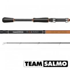 Спиннинг TEAM SALMO TRENO 2,07м, тест 4-18 г, графит 40Т