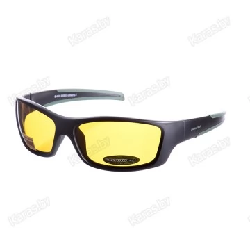 Очки поляризационные Solano FL20008D