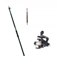 Удочка с кольцами SALMO Taifun Telerod 6.0м, стекловолокно,тест 5-20, 470гр, комплект (оснащенная)