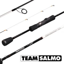 Спиннинг TEAM SALMO TIOGA 2.3м, тест 7-23, carbon 40T
